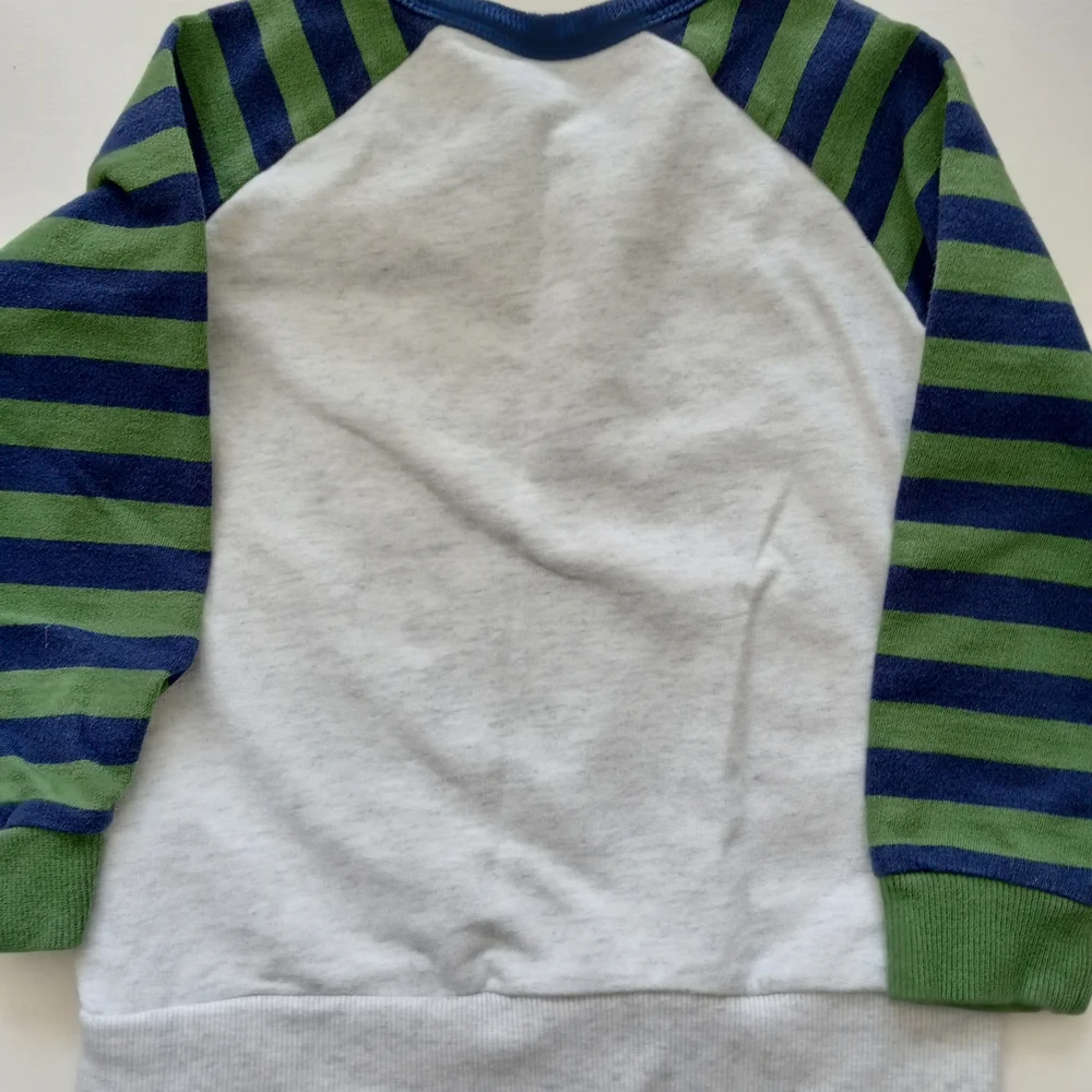 💫Carter's Baby Boy Striped Dinosaur Sweatshirt - Green and Blue - Picture 12 of 13